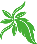 葉っぱのイラスト