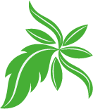 葉っぱのイラスト